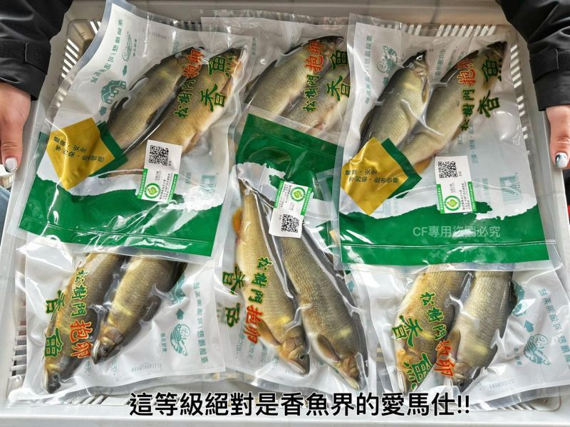 【產銷履歷抱卵母香魚】特大2尾裝 
