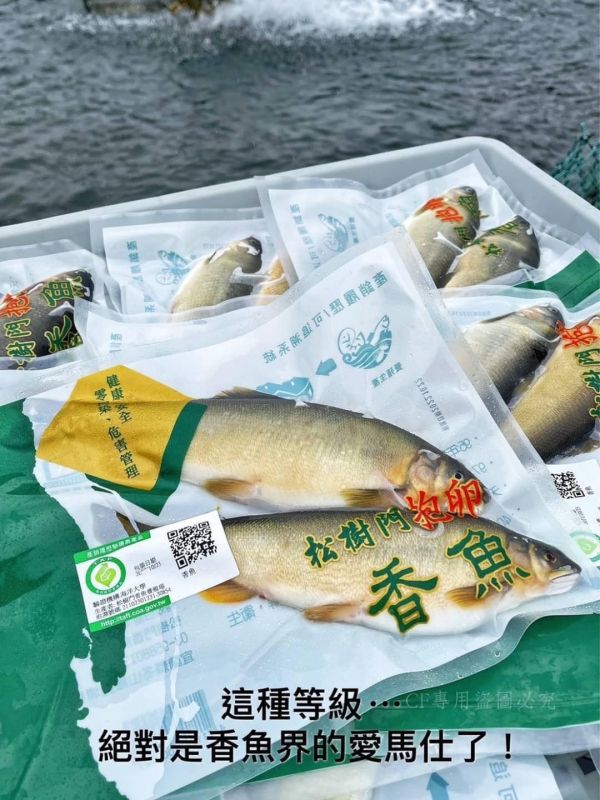 【產銷履歷抱卵母香魚】特大2尾裝 