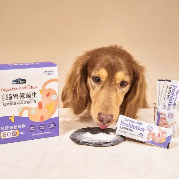 倍力腸胃億菌生 