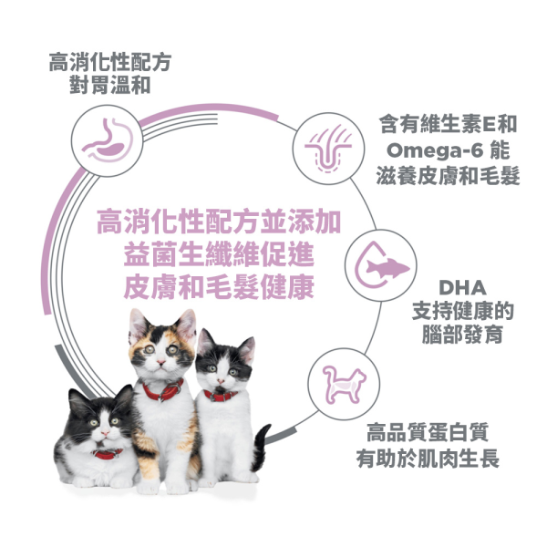 希爾思 幼貓 敏感胃腸與皮膚 鮭魚與糙米特調食譜 