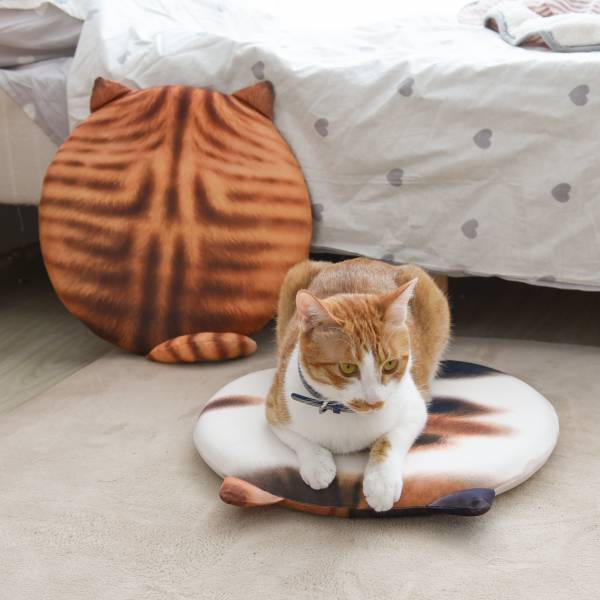 【 哪裡都好坐 】日式背影貓坐墊 150