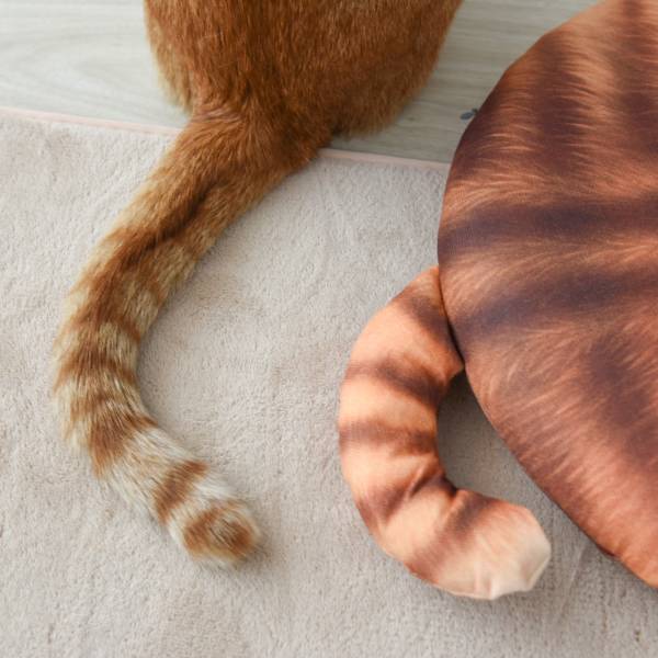 【 哪裡都好坐 】日式背影貓坐墊 150