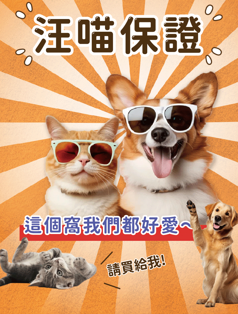 QQPet【汪喵睡飽堡】 QQPet【汪喵睡飽堡】