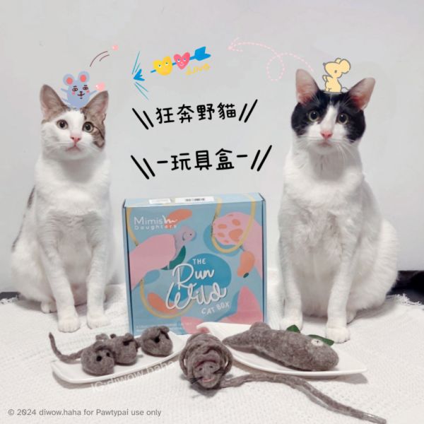 【英國GB Mimis Daughters】狂奔野猫玩具禮盒 The Run Wild Cat Toy Box 
