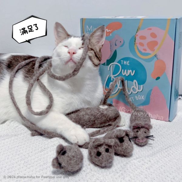 【英國GB Mimis Daughters】狂奔野猫玩具禮盒 The Run Wild Cat Toy Box 