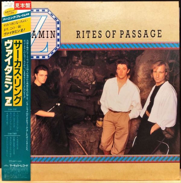 Vitamin Z  - Rites Of Passage 二手老膠1LP 