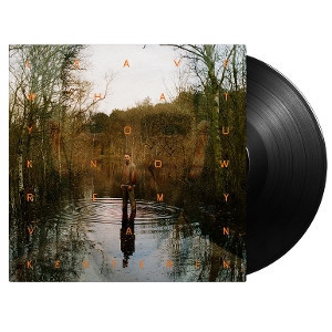 Remy Van Kesteren - Leave What You Know 黑膠1LP 