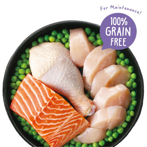 【TOMA-PRO優格】零穀系列 14磅 -0%零穀室內貓體控管理 (成貓專用雞肉配方) 優格貓飼料

優格無穀貓飼料

TOMA-PRO 貓飼料

無穀雞肉貓飼料

無穀鮭魚貓飼料

無穀5種魚貓飼料

貓體重管理飼料

貓化毛飼料推薦

全齡貓飼料推薦

室內貓飼料推薦

低敏貓飼料

無穀低敏貓飼料