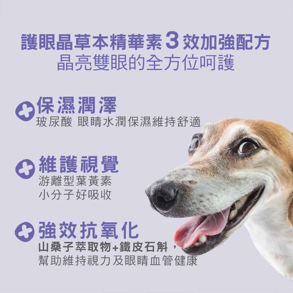 【IN-Plus】犬用保健品 & 護眼晶草本精華素｜護眼配方40g・骨力補關節心臟配方28包・5051高效益生菌24包 IN PLUS 犬用保健品

狗狗護眼保健

狗狗關節心臟保健

狗狗益生菌推薦

狗狗葉黃素補充

狗狗腸胃保健品

狗狗免疫力提升

犬用 CoQ10 保健

狗狗腸道健康益生菌

IN PLUS 護眼晶
