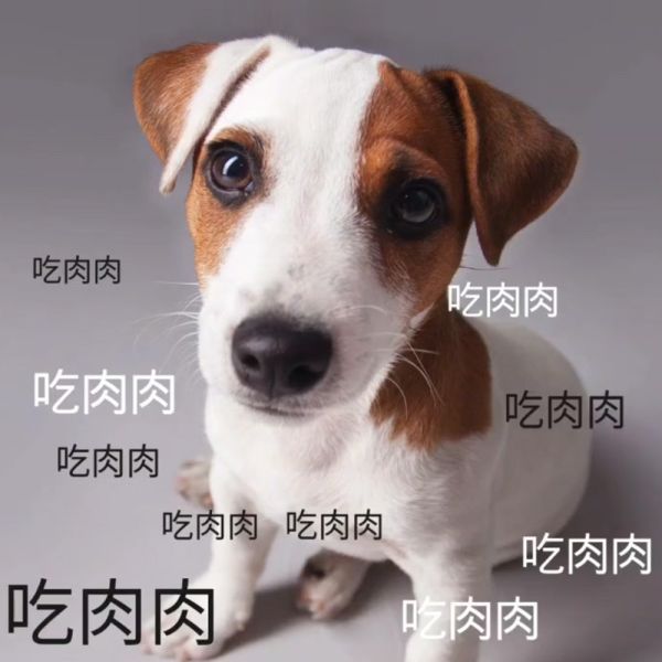 Woofit 100%純肉犬罐165g 狗罐頭推薦、純肉狗罐頭、全犬種主食罐、Woofit狗罐、雞肉狗罐、牛肉狗罐、狗狗補充蛋白質、無穀狗罐、狗狗愛吃罐頭、狗狗漢方配方、枸杞牛肉狗罐、人蔘雞狗罐頭