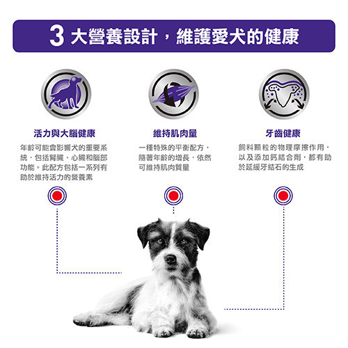 皇家【犬】口腔保健小型犬配方乾糧 MSD25小型老犬處方1.5kg 小型老犬飼料推薦、8歲以上狗狗吃什麼、Royal Canin MSD25、熟齡犬乾糧推薦、小型犬腦部保健飼料、老狗營養補充飼料、獸醫推薦狗飼料、皇家熟齡犬配方、狗狗肌肉流失預防、狗狗牙齒護理飼料