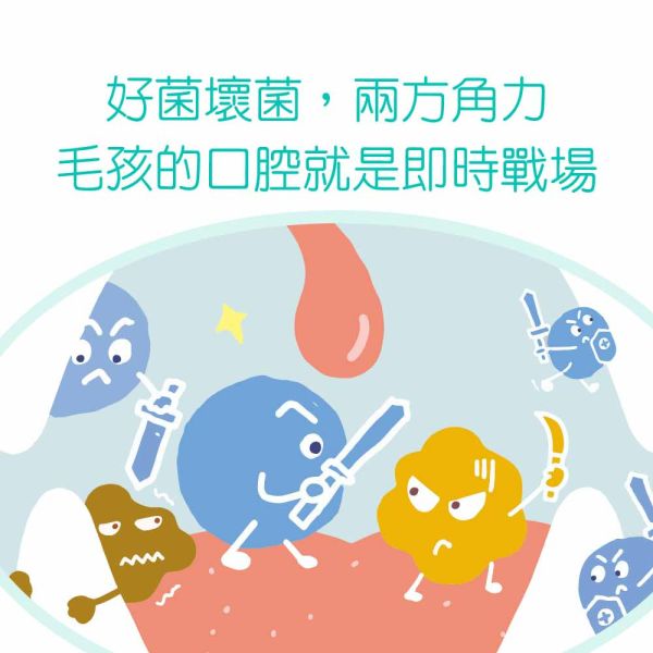 【IN-Plus】 潔牙凍乾 犬貓專用  23g/55g｜狗潔牙零食 綠茶配方・貓潔牙凍乾三角藍 IN PLUS 潔牙凍乾

狗狗潔牙零食

貓咪潔牙零食

狗狗口臭改善

貓咪牙齒清潔

犬貓口腔保健

狗狗潔牙推薦

貓咪潔牙推薦

寵物潔牙零食

狗狗牙結石預防

貓咪口腔保健食品