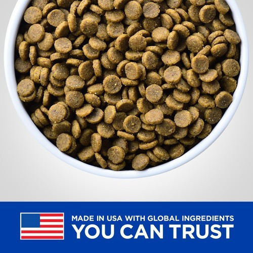 希爾思 犬處方 k/d 腎臟護理6.5kg 8.5磅 k/d腎臟+j/d關節8.5磅 犬用腎臟處方飼料

希爾思 k/d 飼料

腎病犬飼料推薦

希爾思 k/d+j/d

狗腎臟病飼料

希爾思腎臟加關節照護

關節腎臟雙效狗飼料

狗慢性腎病飲食

狗關節保健飼料

Hill's 腎臟處方狗飼料