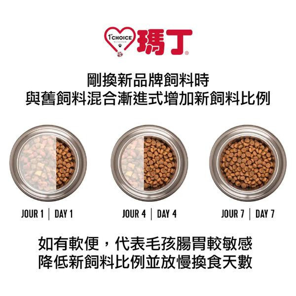 瑪丁 犬飼料 11 KG 成犬低敏羊肉配方 瑪丁犬飼料 11kg

瑪丁 成犬 羊肉配方

成犬低敏飼料

全犬種低敏狗飼料

成犬皮膚毛髮保健狗糧

狗飼料 羊肉配方

大包裝狗飼料推薦

成犬專用狗飼料

瑪丁 低敏狗飼料

成犬關節保健飼料