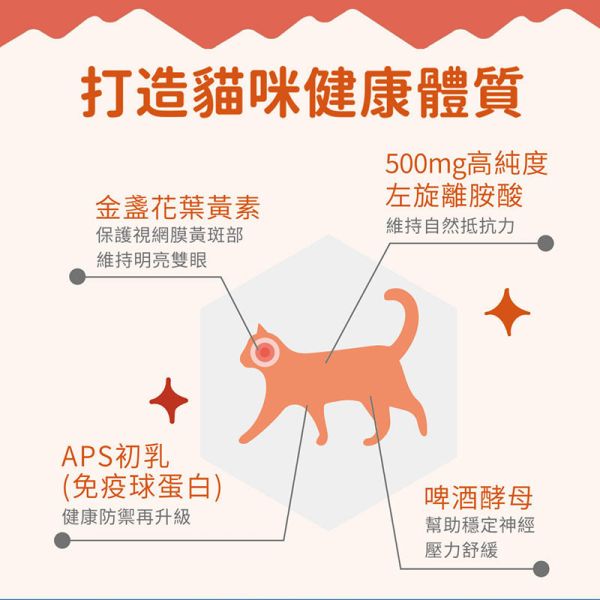 【IN-Plus】 貓咪保健系列【新版】90顆/30入｜完整型魚油嚼碇・蔓越莓泌尿安・左旋離胺酸・益生菌牛磺酸 IN PLUS 貓咪保健品

貓咪魚油嚼碇

貓咪泌尿保健

貓咪蔓越莓補充

貓咪免疫保健

左旋離胺酸貓用

貓咪益生菌牛磺酸

貓咪腸胃保健

IN PLUS 新版貓保健

貓咪營養補充品推薦