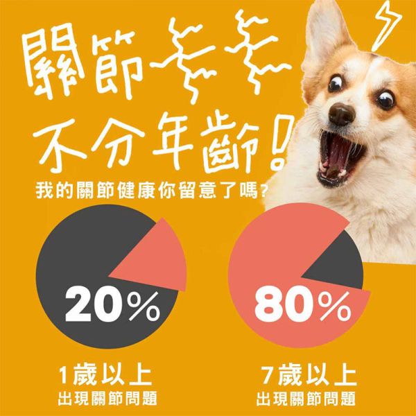 【IN-Plus】蛋殼膜關節保健 30顆/60顆 雙效呵護配方 犬貓適用 蛋殼膜關節保健

狗狗關節保健品

貓咪關節保養

犬貓MSM保健品

葡萄糖胺 軟骨素 狗

關節靈活 犬貓

狗狗關節保健推薦

貓咪關節保健推薦