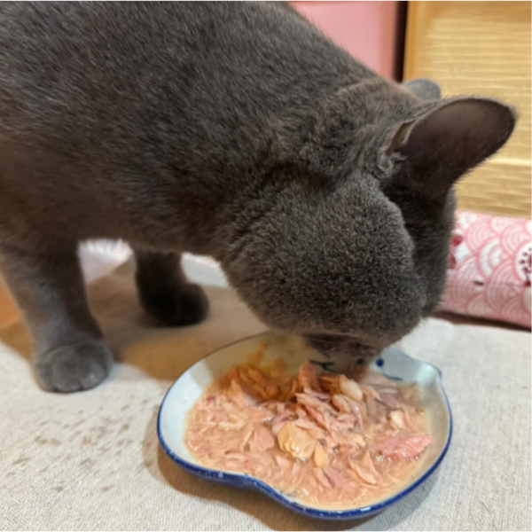 【吶一口 Neko 】無穀貓湯罐 | 鮪魚雞肉/蝦/吻仔魚/鮭魚/柴魚/鰹魚 | 高湯補水主食罐 80g 吶一口貓湯罐, 無穀貓罐頭, 貓咪補水罐, 鮪魚雞肉貓罐, 鮪魚蝦貓罐, 鮪魚吻仔魚罐, 鮪魚鮭魚罐, 鮪魚柴魚罐, 鮪魚鰹魚罐, 貓咪副食罐, 貓咪高湯罐