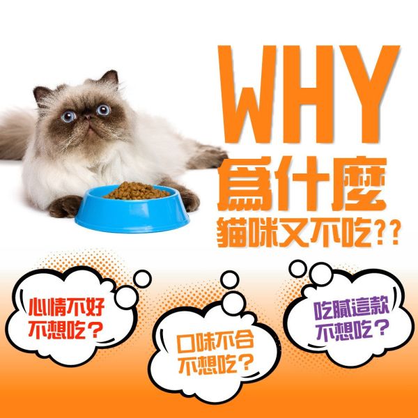 健康紀元 HEALTHYERA 貓飼料  挑嘴貓專用配【乾糧+肉塊】鮭魚 鰹魚 挑嘴貓飼料 福壽 葛莉思 健康紀元貓糧、挑嘴貓飼料、鰹魚貓乾糧、鮭魚貓乾糧、乾糧加肉塊、高適口性貓糧、貓咪主食乾糧、全齡貓飼料、貓糧推薦、HEALTHYERA貓糧