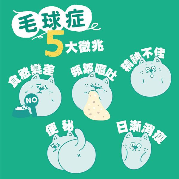 【IN-Plus】 貓咪腸胃保健 貓草高纖排毛粉 18g｜幫助排毛 舒緩腸胃 提升消化健康 IN PLUS 貓咪排毛粉

貓咪腸胃保健品

貓咪毛球保健

貓草高纖粉

貓咪消化保健食品

貓咪排毛球推薦

IN PLUS 貓咪保健品

貓咪腸胃調理

貓咪嘔吐改善

高纖維貓咪營養品