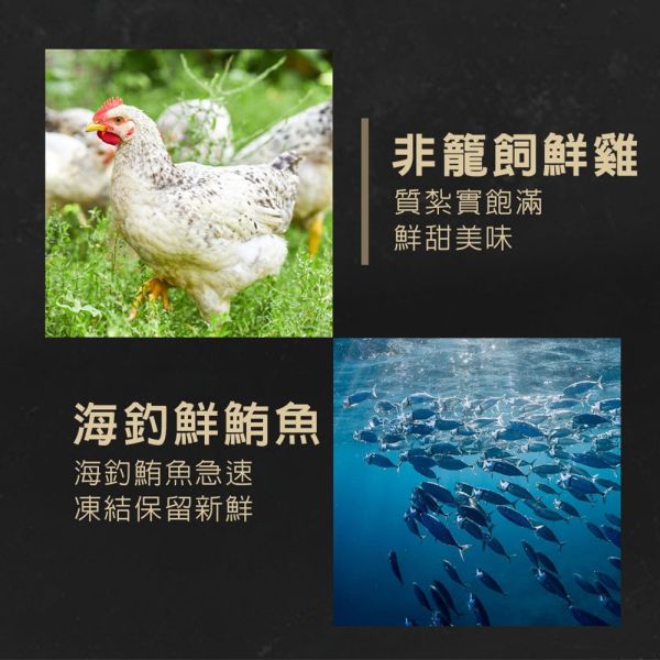 TAPAZO特百滋 貓狗絲絨鮮肉泥 綜合口味 32入盒裝｜貓用犬用雙享｜高適口性肉泥零食 貓咪肉泥

狗狗肉泥

Tapazo 鮮肉泥

貓狗零食

貓咪點心

狗狗點心

寵物肉泥條

貓狗鮮肉泥 32入

高適口性寵物零食

貓狗互食肉泥