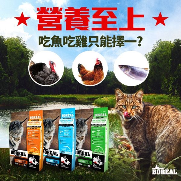 【波瑞歐 BOREAL】 無穀犬糧 12磅｜室內貓化毛調理・高齡貓關節護理・海陸野饌・海宴三重奏・鮮雞肉 全齡貓 波瑞歐 BOREAL 貓飼料

無穀貓飼料 12磅

大包裝貓飼料推薦

室內貓化毛飼料

高齡貓飼料 關節保健

全齡貓無穀飼料

低敏貓飼料推薦

加拿大無穀貓糧

貓咪大包裝飼料

貓咪鮮雞肉飼料

貓咪魚肉飼料