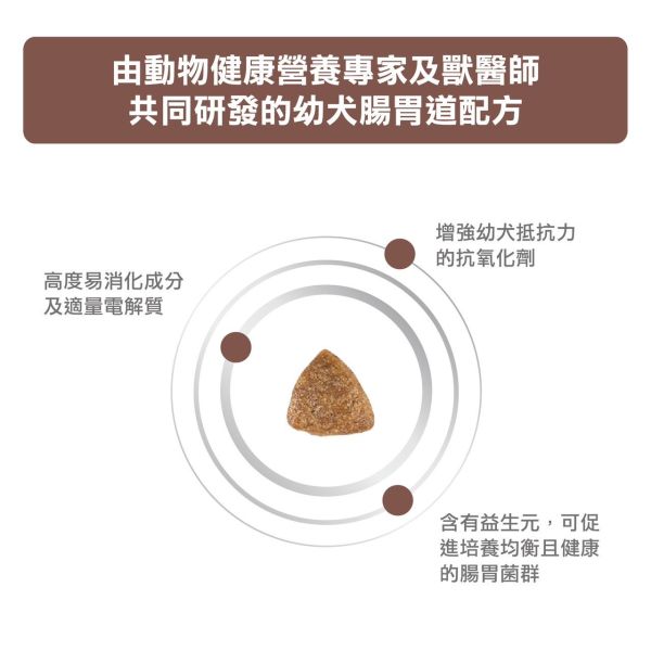 皇家【犬】GIP29 幼犬配方乾糧 GIP29 幼犬 腸胃道處方2.5kg 幼犬軟便吃什麼、狗狗拉肚子推薦飼料、狗腹瀉腸胃飼料、Royal Canin 幼犬處方飼料、腸胃敏感狗糧、GIP29 幼犬腸胃道、狗狗消化不良、IBD 飼料推薦、幼犬腹瀉乾糧、幼犬專用腸胃配方