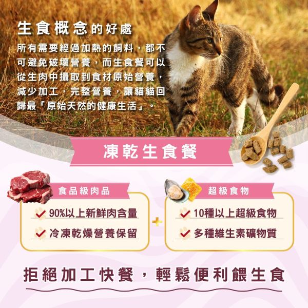 【索美達 Soulmate 】貓凍乾生食餐 20g｜深海魚/草飼牛肉/雞肉｜低溫烘焙 + 鮮食肉片｜高蛋白無添加 貓咪主食零食 貓凍乾生食餐

Soulmate 索美達

貓凍乾零食

貓咪主食推薦

貓咪高蛋白飼料

貓咪天然糧

貓咪無穀飼料

貓咪低溫烘焙糧

深海魚貓糧

草飼牛肉貓糧

雞肉凍乾貓糧

紐西蘭貓糧推薦