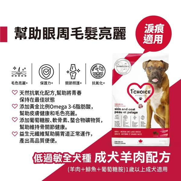 瑪丁 犬飼料 11 KG 成犬低敏羊肉配方 瑪丁犬飼料 11kg

瑪丁 成犬 羊肉配方

成犬低敏飼料

全犬種低敏狗飼料

成犬皮膚毛髮保健狗糧

狗飼料 羊肉配方

大包裝狗飼料推薦

成犬專用狗飼料

瑪丁 低敏狗飼料

成犬關節保健飼料