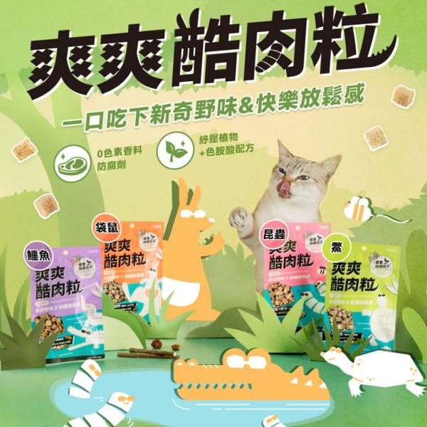 【怪獸部落 LitoMon】 爽爽酷肉粒 20g｜貓狗零食 鱷魚雞肉/袋鼠肉/黑水虻高蛋白凍乾 點心 怪獸部落爽爽酷肉粒, 怪獸部落零食, 凍乾寵物零食, 狗狗零食推薦, 貓零食推薦, 高蛋白寵物零食, 黑水虻寵物零食, 袋鼠肉貓狗零食, 鱷魚肉貓狗零食, 健康寵物零食