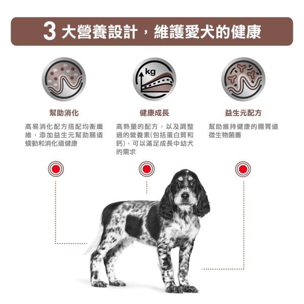 皇家【犬】GIP29 幼犬配方乾糧 GIP29 幼犬 腸胃道處方2.5kg 幼犬軟便吃什麼、狗狗拉肚子推薦飼料、狗腹瀉腸胃飼料、Royal Canin 幼犬處方飼料、腸胃敏感狗糧、GIP29 幼犬腸胃道、狗狗消化不良、IBD 飼料推薦、幼犬腹瀉乾糧、幼犬專用腸胃配方