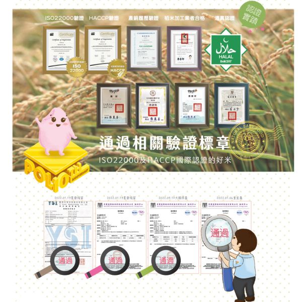 玉山碾米 三麗鷗聯名 益生菌米餅 米餅 抱米花 爆米花 波力聯名 纖米條 纖米粒 糙米米餅  寶寶米餅 玉山碾米,三麗鷗聯名,益生菌米餅,寶寶米餅,副食品米餅,台灣製米餅,無添加餅乾,寶寶點心,抱米花,爆米花米餅,三麗鷗寶寶餅乾,幼兒米餅,米餅推薦,寶寶餅乾,米餅零食,益生菌點心