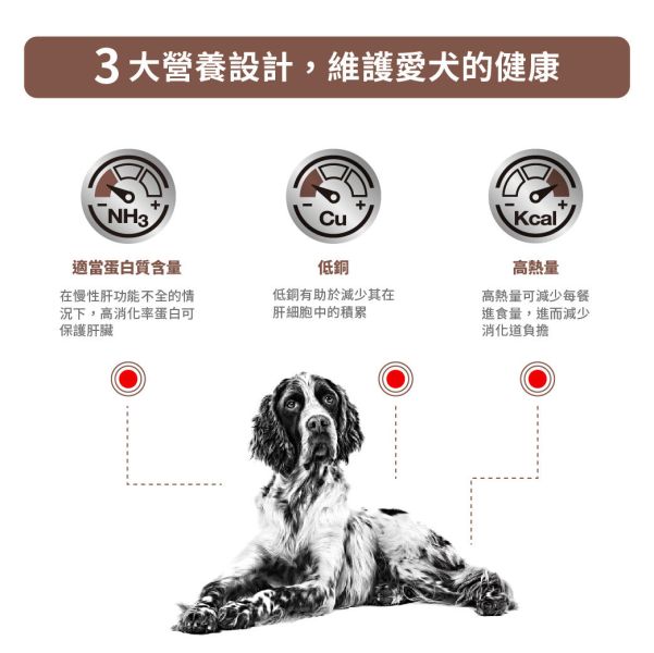 皇家【犬】肝臟配方乾糧  HF16犬肝臟處方1.5kg / 6kg 狗狗肝病飼料

狗狗肝炎吃什麼

狗狗肝門脈分流飲食

狗肝功能不好吃什麼

狗狗銅累積症處方飼料

Royal Canin 肝臟病配方

狗狗保肝飼料推薦

狗狗吃什麼保肝

狗狗肝指數高飲食控制