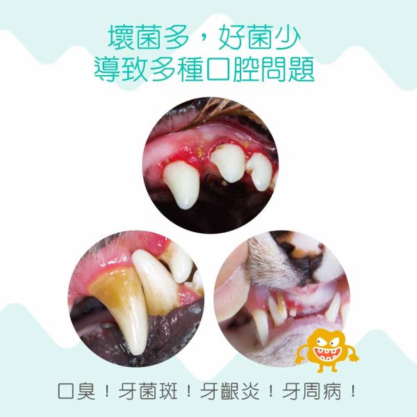 【IN-Plus】 潔牙凍乾 犬貓專用  23g/55g｜狗潔牙零食 綠茶配方・貓潔牙凍乾三角藍 IN PLUS 潔牙凍乾

狗狗潔牙零食

貓咪潔牙零食

狗狗口臭改善

貓咪牙齒清潔

犬貓口腔保健

狗狗潔牙推薦

貓咪潔牙推薦

寵物潔牙零食

狗狗牙結石預防

貓咪口腔保健食品