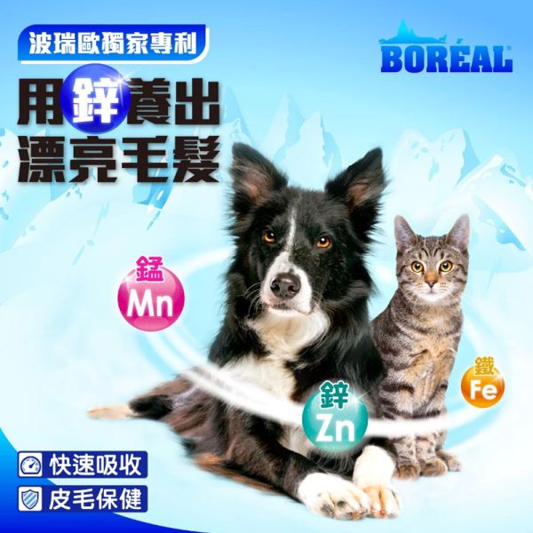 【波瑞歐 BOREAL】 無穀犬糧 25磅｜全齡犬 火雞・羔羊・帝王鮭｜低敏高蛋白 大包裝狗飼料推薦 波瑞歐 BOREAL 狗飼料

無穀犬糧 25磅

大包裝狗飼料推薦

火雞狗飼料

羊肉狗飼料

鮭魚狗飼料

全齡犬飼料推薦

低敏狗飼料

加拿大無穀犬糧

高蛋白狗飼料

大型犬飼料推薦