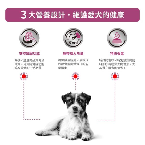 皇家【犬】腎臟病小型犬配方乾糧 RSD14腎臟病小型犬處方3.5kg / 1.5kg 小型犬腎臟病飼料、Royal Canin RSD14、犬腎臟處方飼料、小型犬處方飼料推薦、狗慢性腎衰竭、腎病犬飼料、狗腎臟護理飼料