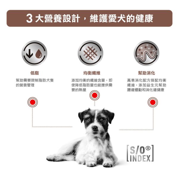 皇家【犬】腸胃道低脂小型犬配方乾糧 LSD22犬腸胃道低脂小型犬3.5kg / 1.5kg 狗狗胰臟炎吃什麼飼料

小型犬下痢飼料推薦

狗狗低脂處方飼料推薦

狗狗腸胃不適吃什麼

Royal Canin 小型犬低脂飼料

狗狗慢性腹瀉飼料

狗狗腸胃炎處方飼料

狗狗消化不良吃什麼飼料

狗狗營養不良飼料建議