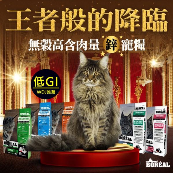 【波瑞歐 BOREAL】 無穀犬糧 5磅｜全齡犬飼料 鴨肉・火雞・羔羊・帝王鮭 /小顆粒 波瑞歐 BOREAL 犬糧

無穀狗飼料

狗狗無穀飼料推薦

全齡犬飼料

狗狗小顆粒飼料

狗狗火雞飼料

狗狗羊肉飼料

狗狗鮭魚飼料

低敏犬糧

加拿大狗飼料品牌