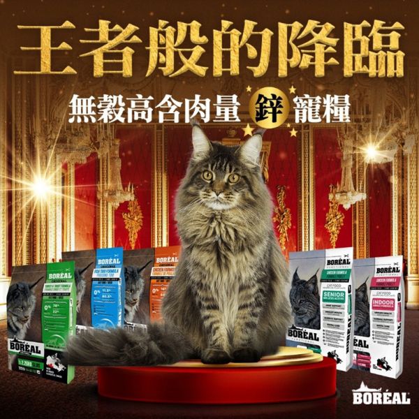 【波瑞歐 BOREAL】 無穀犬糧 12磅｜室內貓化毛調理・高齡貓關節護理・海陸野饌・海宴三重奏・鮮雞肉 全齡貓 波瑞歐 BOREAL 貓飼料

無穀貓飼料 12磅

大包裝貓飼料推薦

室內貓化毛飼料

高齡貓飼料 關節保健

全齡貓無穀飼料

低敏貓飼料推薦

加拿大無穀貓糧

貓咪大包裝飼料

貓咪鮮雞肉飼料

貓咪魚肉飼料