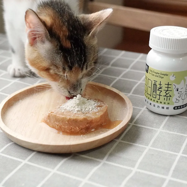 【怪獸部落 Litomon】每日酵素40g 每日酵素-元氣活力補給 | 寵物保健品 寵物酵素粉

狗腸胃保健

貓腸胃保健

貓狗消化酵素

貓咪保健食品

狗狗保健食品

寵物腸胃保健推薦

怪獸部落酵素