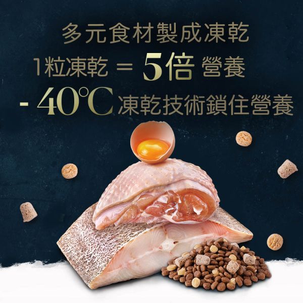 TAPAZO特百滋 貓飼料 15磅 【凍乾雙饗宴】成幼貓鮭魚/海魚/成貓雞肉/熟齡貓火雞 無穀低敏貓糧 TAPAZO 特百滋, TAPAZO 貓飼料, TAPAZO 凍乾雙饗宴, 成幼貓鮭魚飼料, 成幼貓海魚飼料, 成貓雞肉飼料, 熟齡貓火雞飼料, 無穀低敏貓糧, 貓飼料 15磅, 貓飼料 6.8kg, 凍乾貓糧推薦, Omega3 貓飼料, 益生菌貓飼料, 成幼貓低敏飼料, 熟齡貓營養飼料