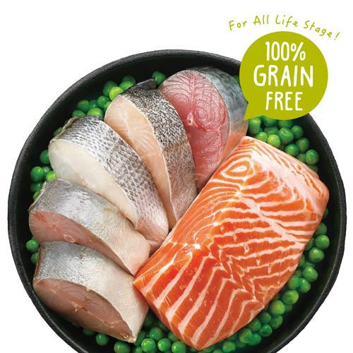 【TOMA-PRO優格】零穀系列 14磅 -0%零穀室內貓體控管理 (成貓專用雞肉配方) 優格貓飼料

優格無穀貓飼料

TOMA-PRO 貓飼料

無穀雞肉貓飼料

無穀鮭魚貓飼料

無穀5種魚貓飼料

貓體重管理飼料

貓化毛飼料推薦

全齡貓飼料推薦

室內貓飼料推薦

低敏貓飼料

無穀低敏貓飼料