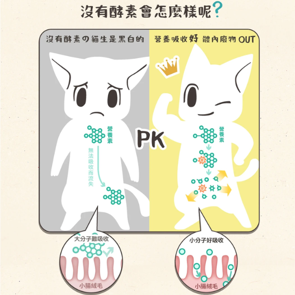 【怪獸部落 Litomon】每日酵素40g 每日酵素-元氣活力補給 | 寵物保健品 寵物酵素粉

狗腸胃保健

貓腸胃保健

貓狗消化酵素

貓咪保健食品

狗狗保健食品

寵物腸胃保健推薦

怪獸部落酵素