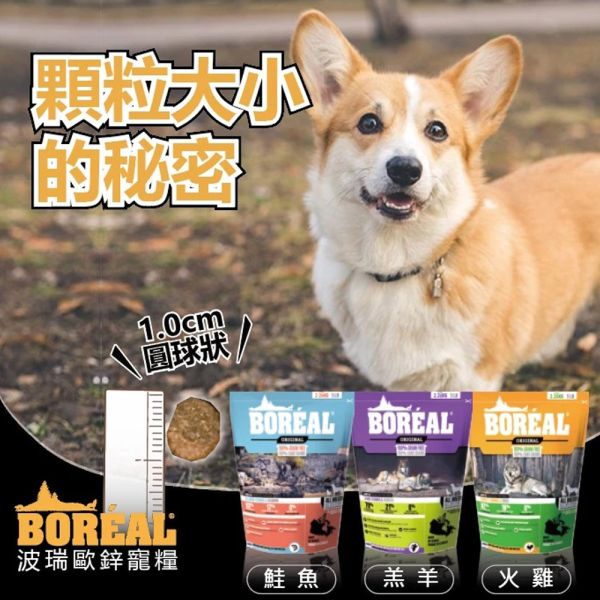 【波瑞歐 BOREAL】 無穀犬糧 25磅｜全齡犬 火雞・羔羊・帝王鮭｜低敏高蛋白 大包裝狗飼料推薦 波瑞歐 BOREAL 狗飼料

無穀犬糧 25磅

大包裝狗飼料推薦

火雞狗飼料

羊肉狗飼料

鮭魚狗飼料

全齡犬飼料推薦

低敏狗飼料

加拿大無穀犬糧

高蛋白狗飼料

大型犬飼料推薦