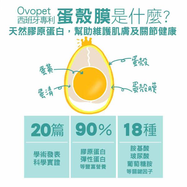 【IN-Plus】MSM蛋殼膜關節保健 狗關節保養 體力舒緩補充劑【30顆/60顆】IN PLUS 犬用營養品 狗狗關節保健, 狗關節舒緩, MSM蛋殼膜, 狗狗關節營養品, 狗狗走路僵硬, 狗狗保健食品, IN PLUS 狗保健, 狗狗骨骼保養, 狗狗關節軟骨保養, 狗狗活動力