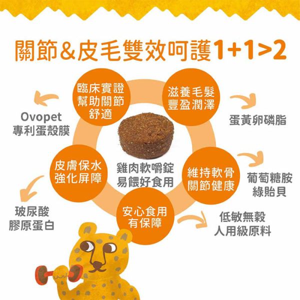 【IN-Plus】蛋殼膜關節保健 30顆/60顆 雙效呵護配方 犬貓適用 蛋殼膜關節保健

狗狗關節保健品

貓咪關節保養

犬貓MSM保健品

葡萄糖胺 軟骨素 狗

關節靈活 犬貓

狗狗關節保健推薦

貓咪關節保健推薦