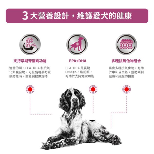 皇家【犬】配方濕糧100g LP18w-犬泌尿道濕糧100g【軟包】ER22W-犬早期腎臟濕糧100g 狗濕糧處方推薦、狗腎臟病飼料推薦、泌尿道結石狗飼料、狗腎臟病濕食、皇家尿路處方飼料、皇家腎臟病濕糧、犬濕糧結石、腎病狗狗吃什麼、狗濕飼料推薦處方、Royal Canin Urinary、Royal Canin Early Renal