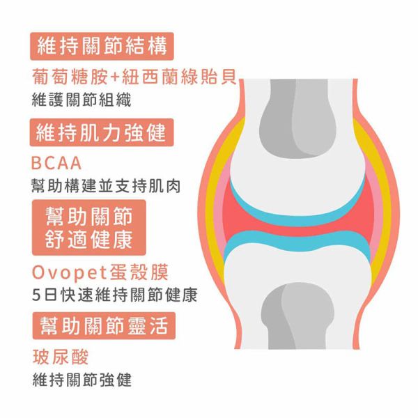 【IN-Plus】蛋殼膜關節保健 30顆/60顆 雙效呵護配方 犬貓適用 蛋殼膜關節保健

狗狗關節保健品

貓咪關節保養

犬貓MSM保健品

葡萄糖胺 軟骨素 狗

關節靈活 犬貓

狗狗關節保健推薦

貓咪關節保健推薦