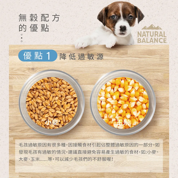 【自然平衡 Natural Balance】低敏無穀犬糧  原顆粒 22磅  地瓜鹿肉 ｜低敏無穀犬糧 大型犬成犬飼料【原顆粒】 自然平衡 NB
NB 狗飼料 22磅
地瓜鹿肉 狗飼料
大型犬 成犬飼料
低敏無穀 犬糧
Natural Balance 鹿肉狗糧
犬用原顆粒飼料
犬用低敏飼料
腸胃敏感狗飼料
無穀大型犬飼料
