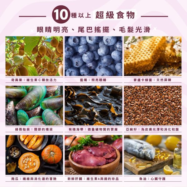 【索美達 Soulmate 】貓凍乾生食餐 20g｜深海魚/草飼牛肉/雞肉｜低溫烘焙 + 鮮食肉片｜高蛋白無添加 貓咪主食零食 貓凍乾生食餐

Soulmate 索美達

貓凍乾零食

貓咪主食推薦

貓咪高蛋白飼料

貓咪天然糧

貓咪無穀飼料

貓咪低溫烘焙糧

深海魚貓糧

草飼牛肉貓糧

雞肉凍乾貓糧

紐西蘭貓糧推薦