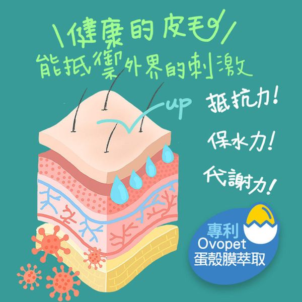 【IN-Plus】 犬用保健品  60顆/120顆/300顆   蛋殼膜卵磷脂｜護膚亮毛・魚油舒敏配方 IN PLUS 蛋殼膜卵磷脂

狗狗皮膚保健

狗狗毛髮亮澤

狗狗舒敏保健品

狗狗魚油卵磷脂

犬用保健食品

狗狗護毛營養品

狗狗掉毛改善

寵物皮膚毛髮保健